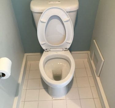 clog removal out of toilet plumbers shoreline wa