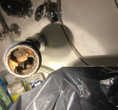 drain cleaning services shoreline wa