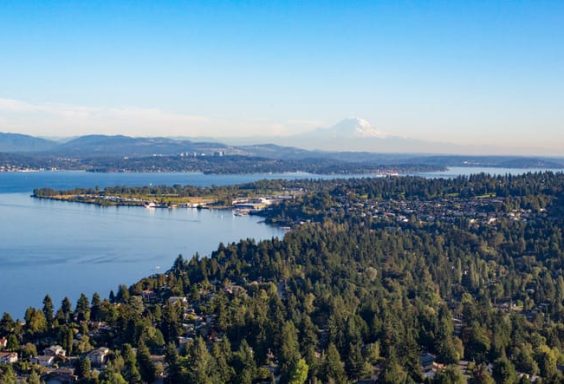 hiring shoreline plumbing in the area